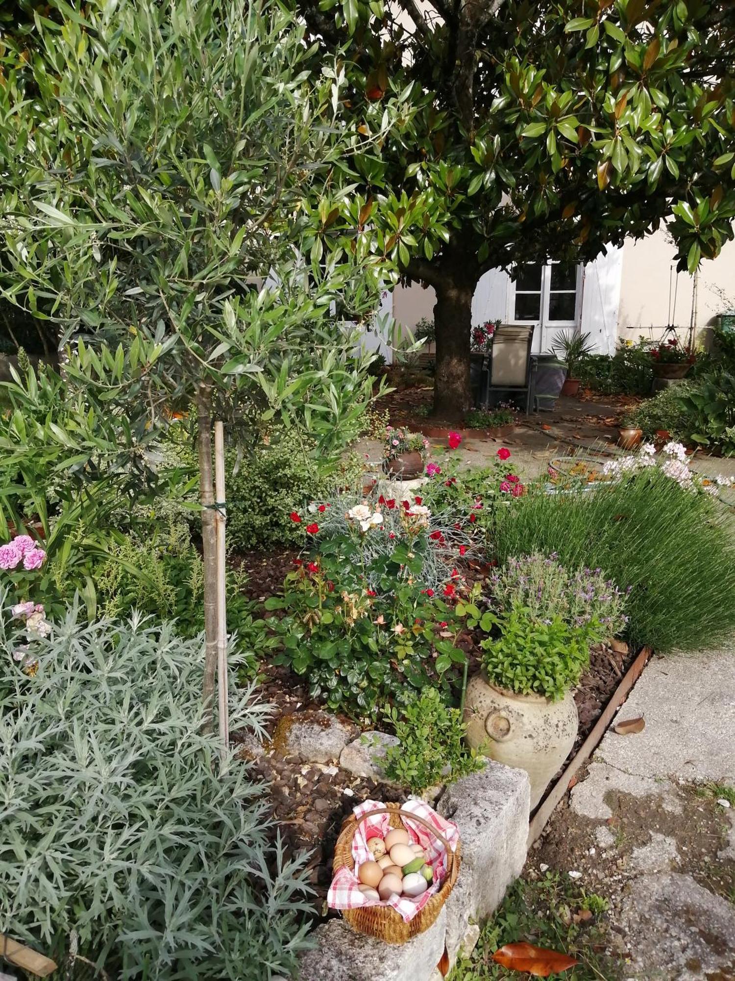Au Logis De Vechillot Bed and Breakfast Angoulême Buitenkant foto