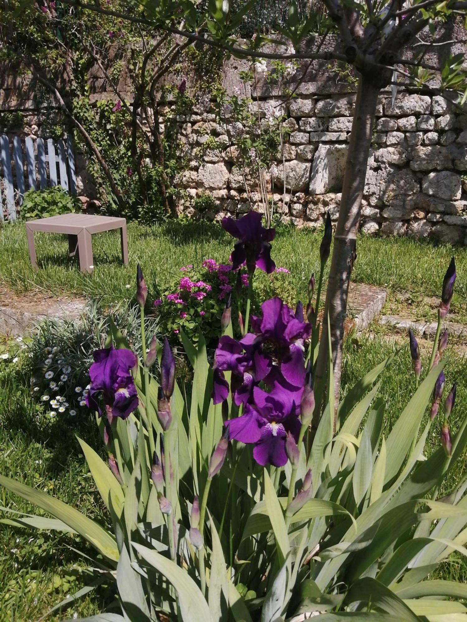 Au Logis De Vechillot Bed and Breakfast Angoulême Buitenkant foto